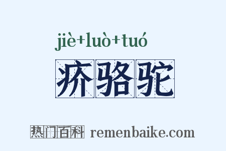 疥骆驼是什么意思的图片